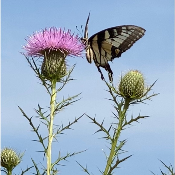 Meet your Posher, Amy - Picture 14 of 16